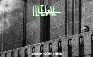 “Illegal” : il nuovo singolo reggae crossover degli SmashRoom I Need