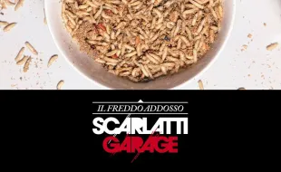  Scarlatti Garage - Il freddo addosso estratto da "Ed è solo Lunedì" in uscita il 10 Gennaio 2014 Guarda il video