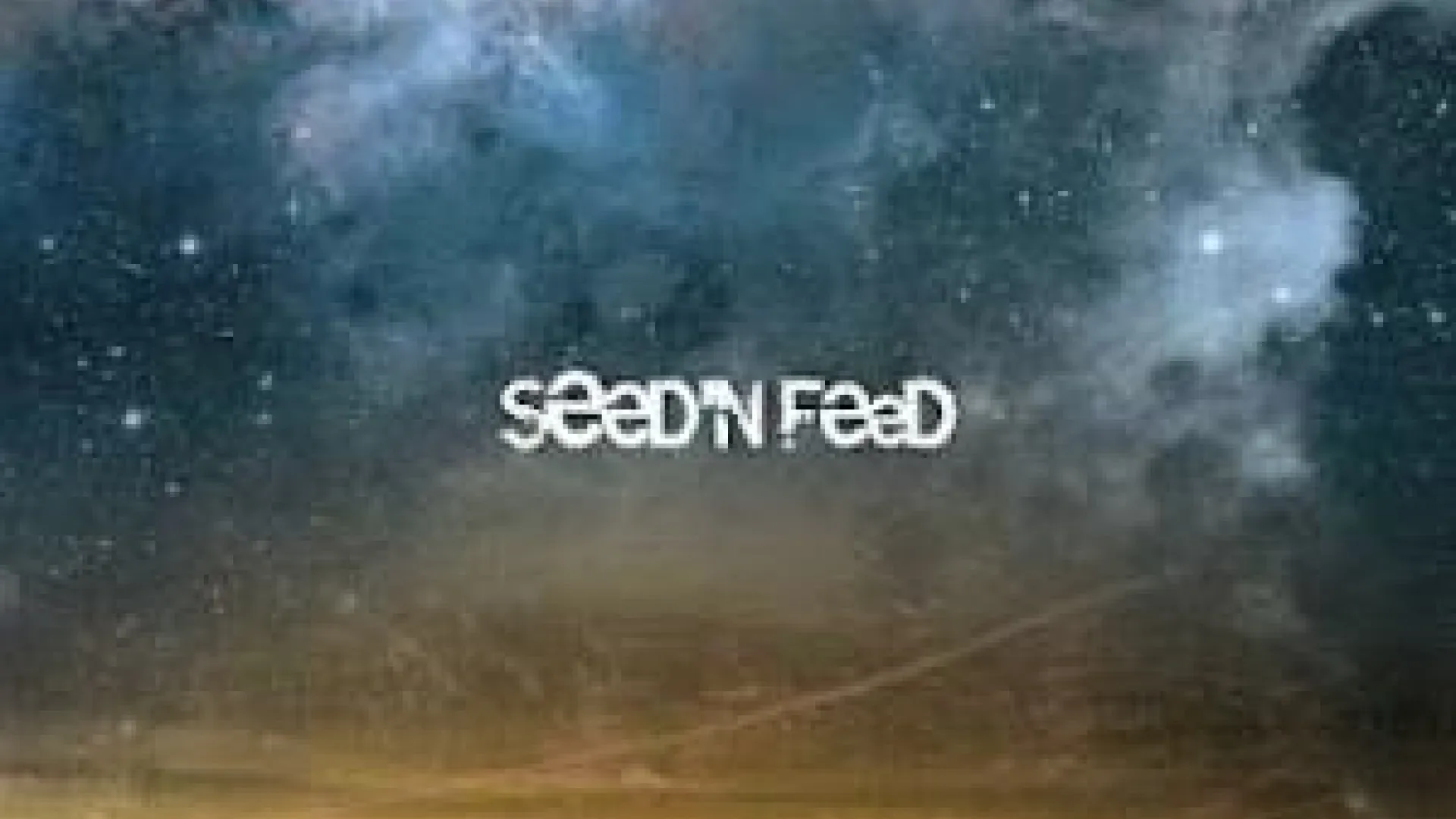 Seed'n feed - Una lunga notte [2011 - Inconsapevole records]