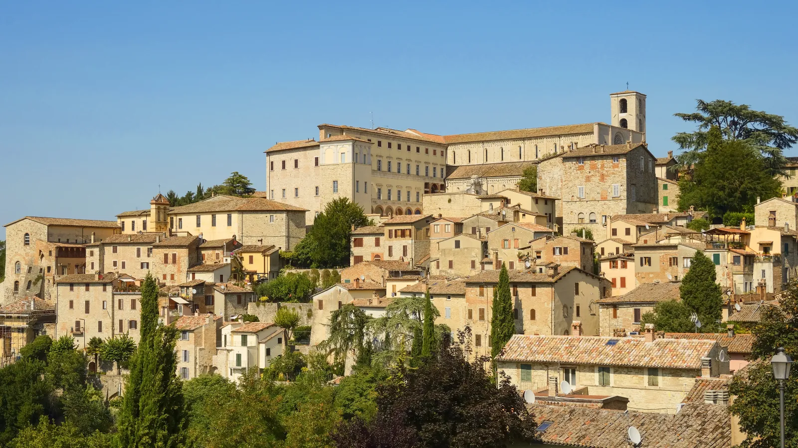 TODI FESTIVAL 2024