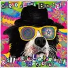 Carlo Kamal Bonomelli presenta il nuovo album, Disturbo della personalità Border Collie 