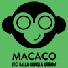 Profile picture for user Macaco