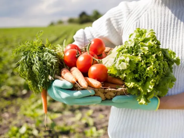 La nuova stagione di AGRINET4EDUCATION